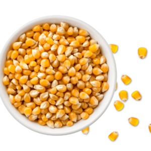 Zrnje koruza Mir Grunt